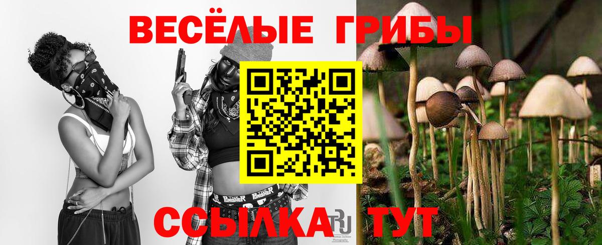 Галлюциногенные грибы GOLDEN TEACHER Майский